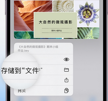 饶河apple维修中心分享iPhone文件应用中存储和找到下载文件