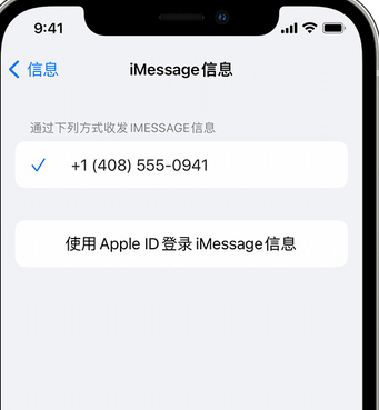 饶河apple维修iPhone上无法正常发送iMessage信息