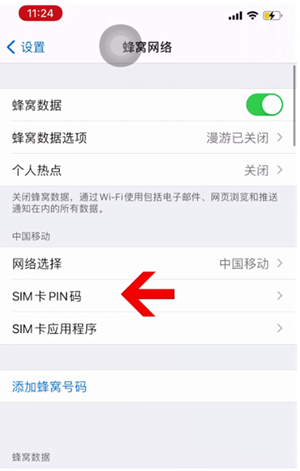 饶河苹果14维修网分享如何给iPhone14的SIM卡设置密码 