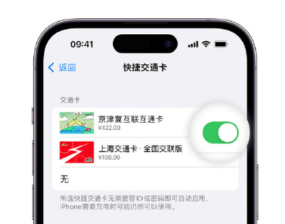 饶河apple维修点分享iPhone上更换Apple Pay快捷交通卡手绘卡面 