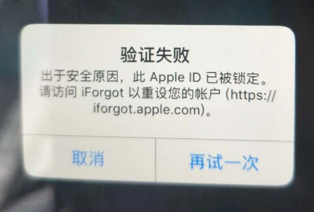 饶河iPhone维修分享iPhone上正常登录或使用AppleID怎么办 