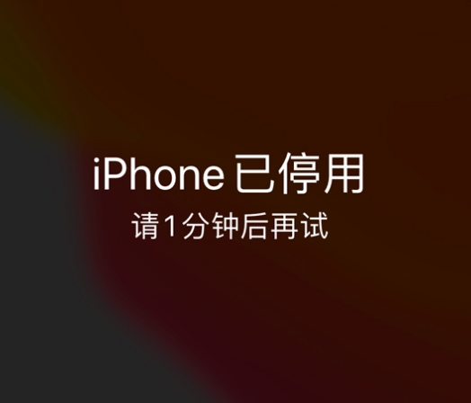 饶河苹果手机维修分享:iPhone 显示“不可用”或“已停用”怎么办？还能保留数据吗？ 