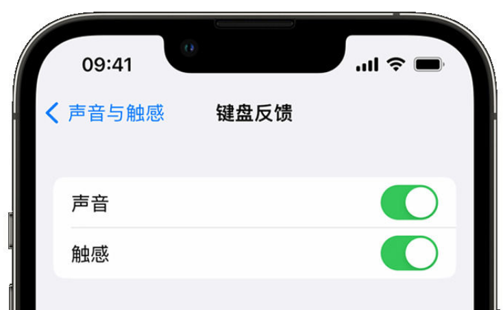 饶河苹果手机维修分享iPhone 14触感键盘使用方法 