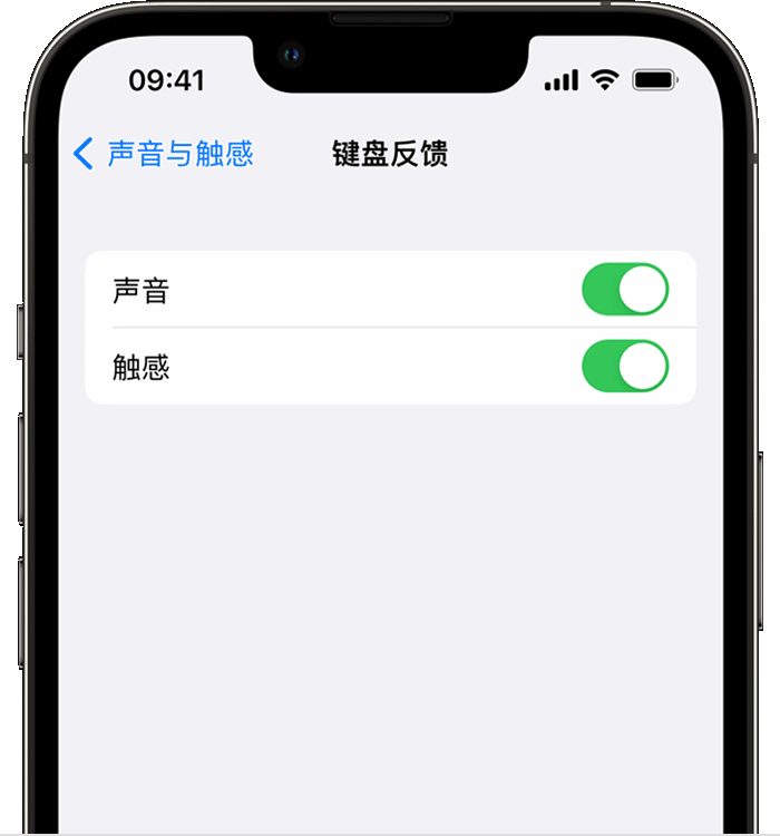 饶河苹果14维修店分享如何在 iPhone 14 机型中使用触感键盘 