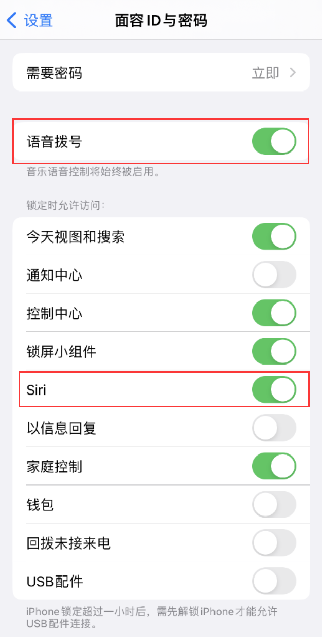 饶河苹果维修网点分享不解锁 iPhone 的情况下通过 Siri 拨打电话的方法 