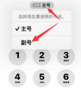 饶河苹果14维修店分享iPhone 14 Pro Max使用副卡打电话的方法 