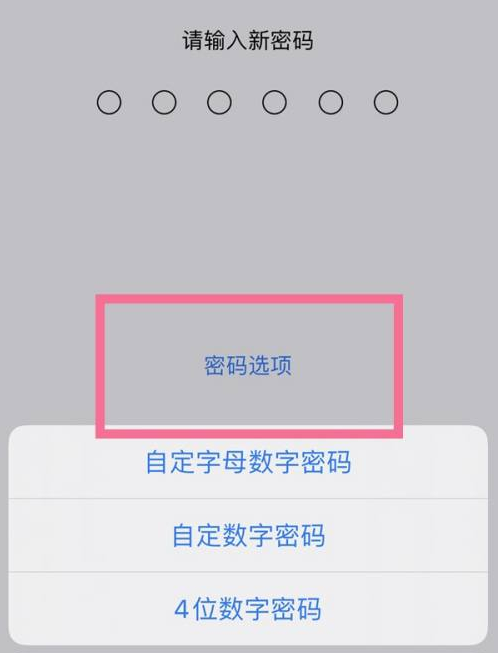 饶河苹果14维修分享iPhone 14plus设置密码的方法 