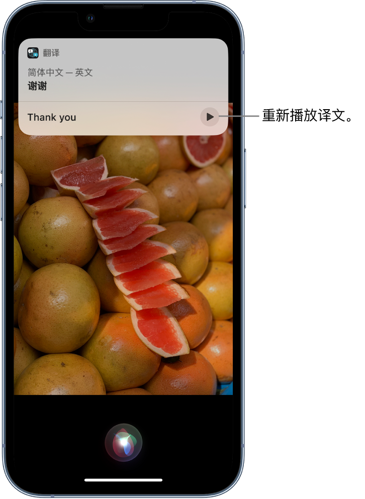 饶河苹果14维修分享 iPhone 14 机型中使用 Siri：了解 Siri 能帮你做什么 