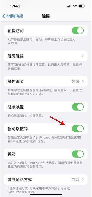 饶河苹果手机维修分享iPhone手机如何设置摇一摇删除文字 